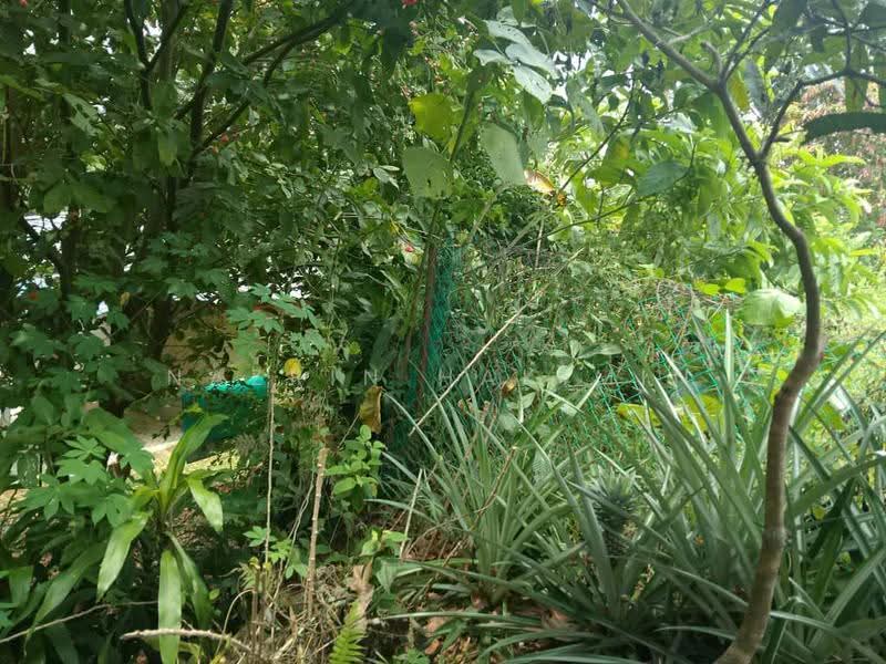 Residential Land for Sale in Kampung Kenanga (Rawang) - Nazrin Hakimin - PropertyGuru.com.my