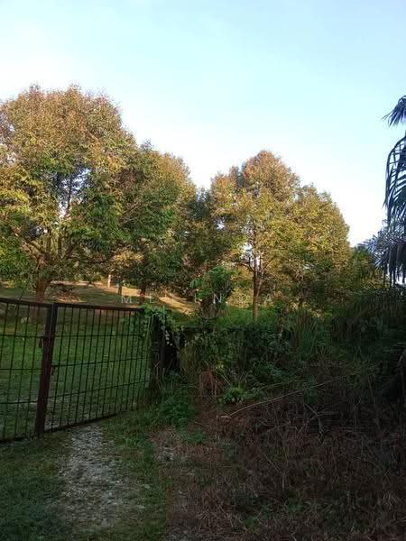 Agricultural Land for Sale in Kampung Padang Manggis (Pekan) - Melinda Goh - Exterior - PropertyGuru.com.my