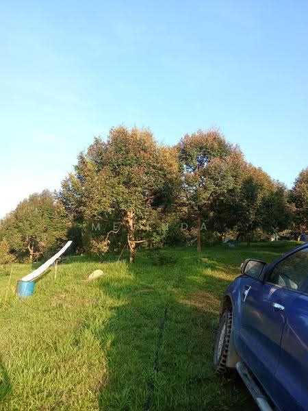 Agricultural Land for Sale in Kampung Padang Manggis (Pekan) - Melinda Goh - Exterior - PropertyGuru.com.my