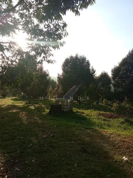 Agricultural Land for Sale in Kampung Padang Manggis (Pekan) - Melinda Goh - PropertyGuru.com.my