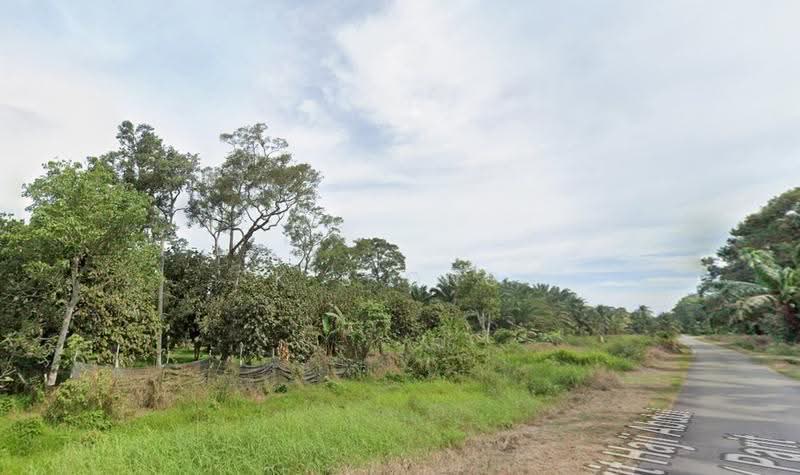Agricultural Land for Sale in Bandar Pontian (Pontian) - K S Ong - Exterior - PropertyGuru.com.my