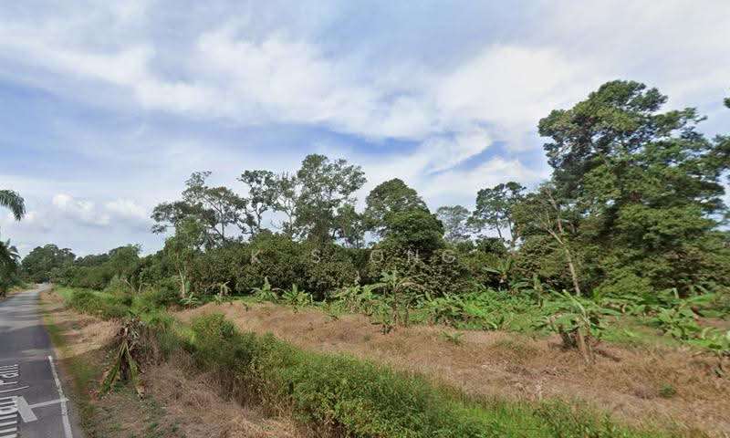 Agricultural Land for Sale in Bandar Pontian (Pontian) - K S Ong - PropertyGuru.com.my
