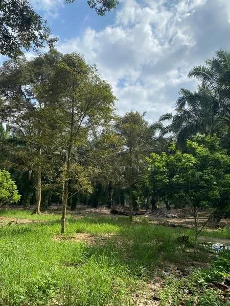 Agricultural Land for Sale in Bandar Pontian (Pontian) - K S Ong - Garden - PropertyGuru.com.my