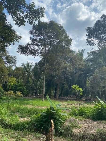 Agricultural Land for Sale in Bandar Pontian (Pontian) - K S Ong - Garden - PropertyGuru.com.my