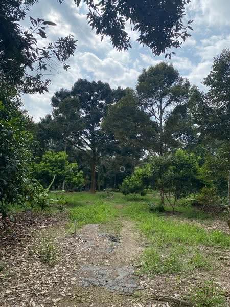 Agricultural Land for Sale in Bandar Pontian (Pontian) - K S Ong - Exterior - PropertyGuru.com.my