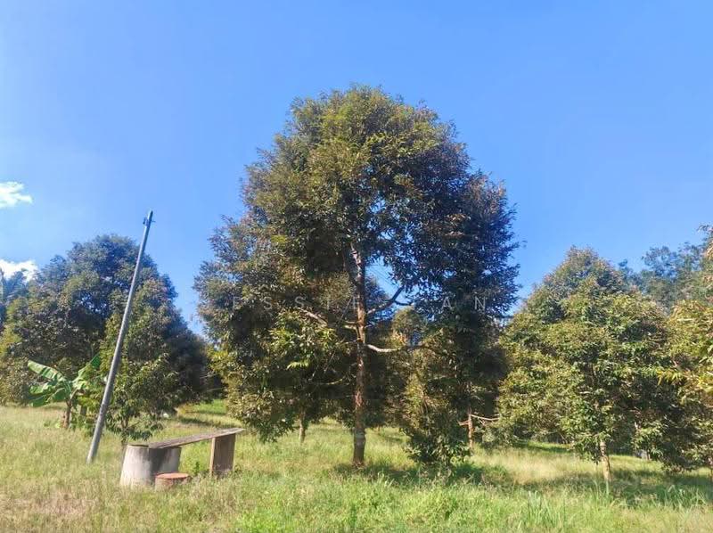 Agricultural Land for Sale in Kluang (Johor) - Jessie Tan - Exterior - PropertyGuru.com.my