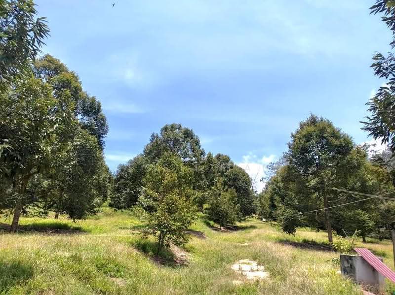 Agricultural Land for Sale in Kluang (Johor) - Jessie Tan - Exterior - PropertyGuru.com.my