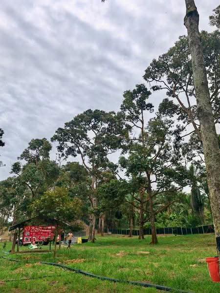 Agricultural Land for Sale in Yong Peng (Johor) - Jessie Tan - Exterior - PropertyGuru.com.my