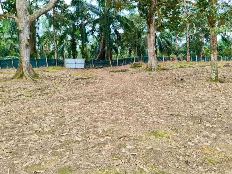 Agricultural Land for Sale in Yong Peng (Johor) - Jessie Tan - Exterior - PropertyGuru.com.my