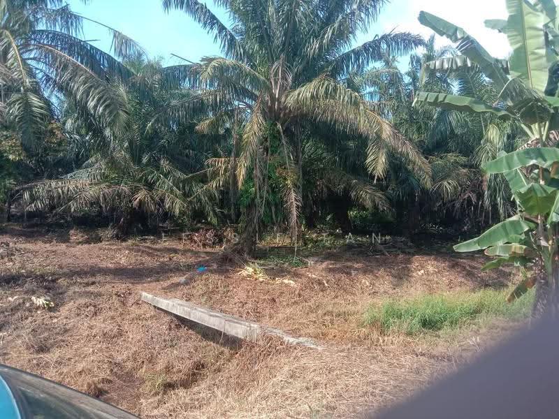 Agricultural Land for Sale in Pontian (Johor) - Jessie Tan - Exterior - PropertyGuru.com.my