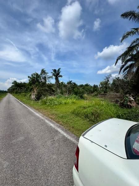 Agricultural Land for Sale in Pontian (Johor) - Jessie Tan - Exterior - PropertyGuru.com.my