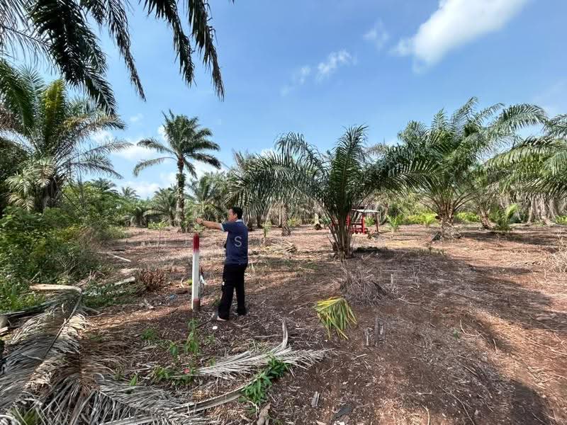 Agricultural Land for Sale in Pontian (Johor) - Jessie Tan - Exterior - PropertyGuru.com.my