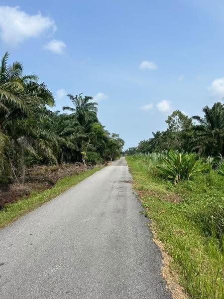 Agricultural Land for Sale in Pontian (Johor) - Jessie Tan - Exterior - PropertyGuru.com.my