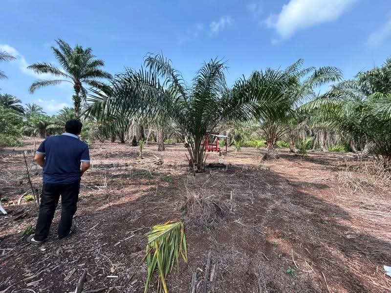 Agricultural Land for Sale in Pontian (Johor) - Jessie Tan - Exterior - PropertyGuru.com.my