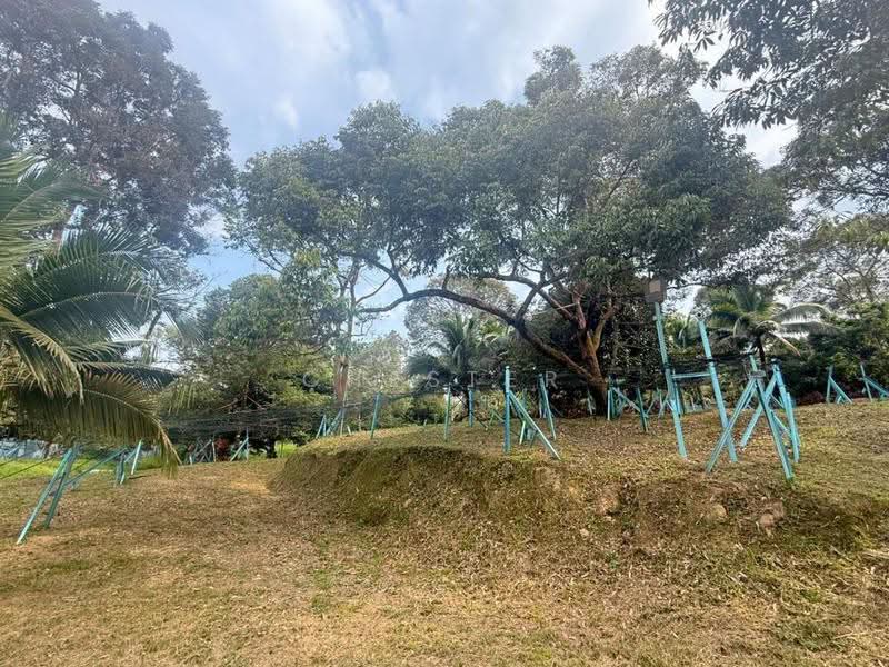Tanah Pertanian untuk Dijual di Raub (Pahang) - Chester Cheng - Garden - PropertyGuru.com.my