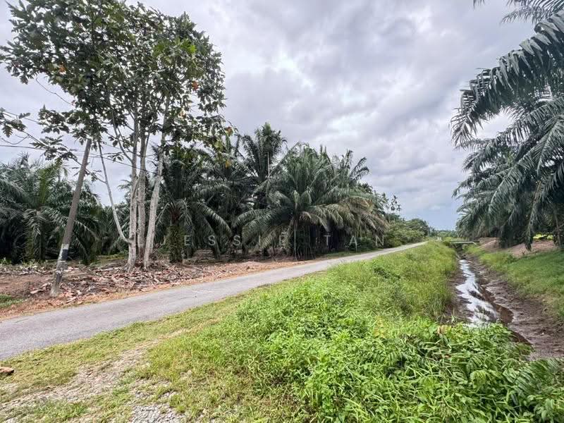 Tanah Pertanian untuk Dijual di Gelang Patah (Johor) - Jessie Tan - Exterior - PropertyGuru.com.my