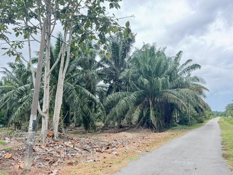 Tanah Pertanian untuk Dijual di Gelang Patah (Johor) - Jessie Tan - Exterior - PropertyGuru.com.my