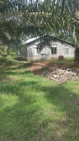 Tanah Pertanian untuk Dijual di Bandar Pontian (Pontian) - K S Ong - Exterior - PropertyGuru.com.my