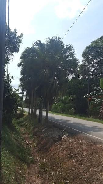 Tanah Pertanian untuk Dijual di Bandar Pontian (Pontian) - K S Ong - Exterior - PropertyGuru.com.my