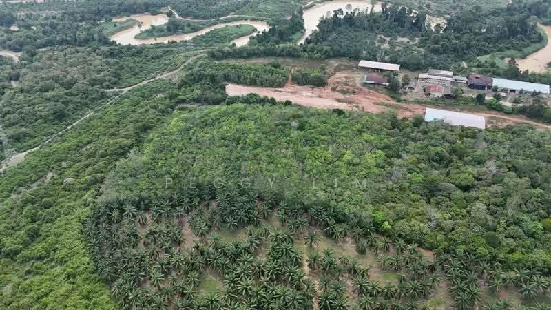 Tanah Pertanian untuk Dijual di Segamat (Segamat) - Peggy Lim - Exterior - PropertyGuru.com.my