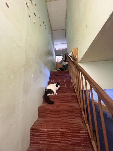 Rumah Kluster untuk Dijual di Seksyen 24 (Shah Alam) - Zamila Ismail - PropertyGuru.com.my