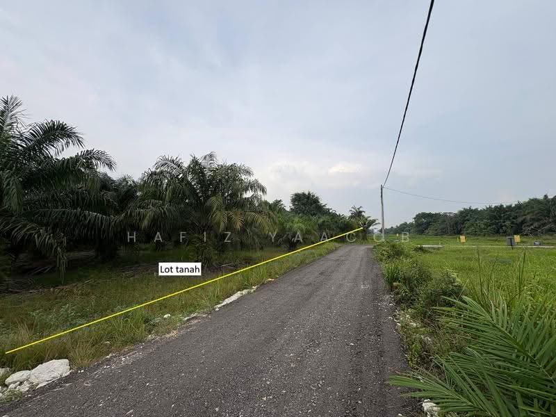 Agricultural Land for Sale in Kampung Seri Cheeding (Tanjong Duabelas) - Hafiz Yaacob - PropertyGuru.com.my