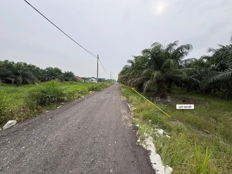 Agricultural Land for Sale in Kampung Seri Cheeding (Tanjong Duabelas) - Hafiz Yaacob - Exterior - PropertyGuru.com.my