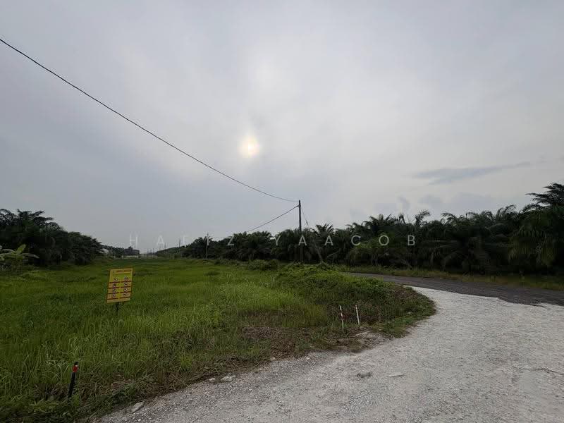 Agricultural Land for Sale in Kampung Seri Cheeding (Tanjong Duabelas) - Hafiz Yaacob - Exterior - PropertyGuru.com.my