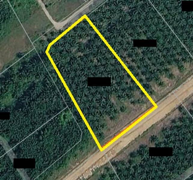 Agricultural Land for Sale in Kampung Seri Cheeding (Tanjong Duabelas) - Hafiz Yaacob - PropertyGuru.com.my