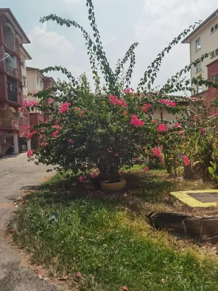 Pangsapuri untuk Disewa di Mantin - Tifi Ten - Exterior - PropertyGuru.com.my
