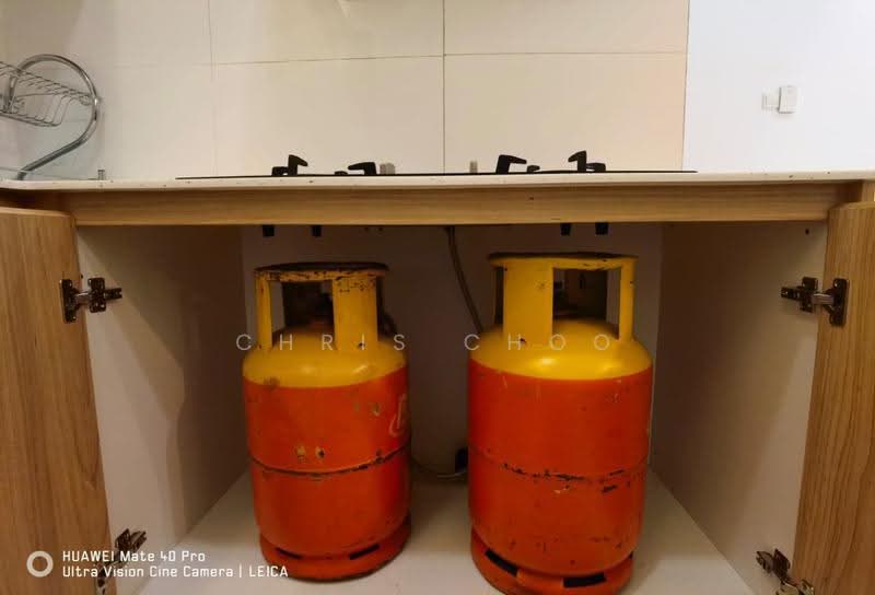 Condominium for Rent at CloudTree Residence - Chris Choo - Kitchen - PropertyGuru.com.my