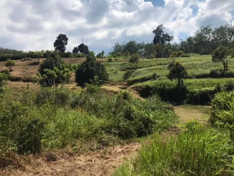 Tanah Pertanian untuk Dijual di Raub (Pahang) - Peggy Lim - Garden - PropertyGuru.com.my