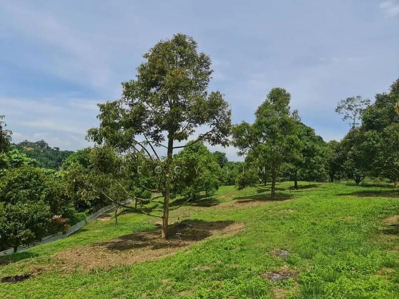Tanah Pertanian untuk Dijual di Raub (Pahang) - Peggy Lim - Garden - PropertyGuru.com.my