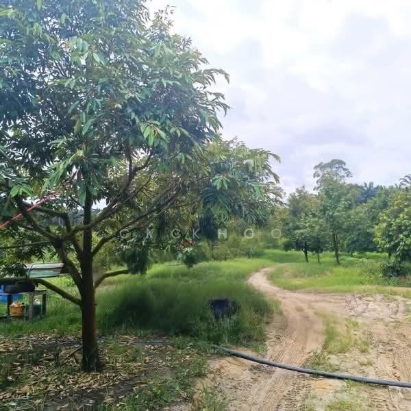 Tanah Pertanian untuk Dijual di Raub (Pahang) - KC Ng - Garden - PropertyGuru.com.my