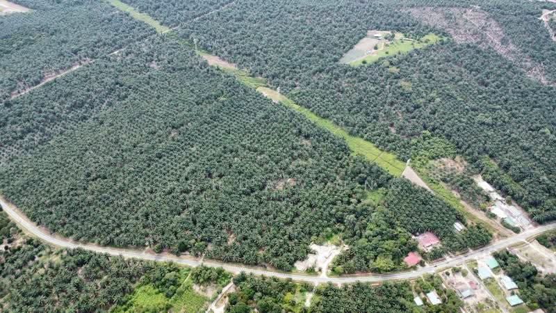 Tanah Perindustrian untuk Dijual di Taman Impian Emas (Skudai) - Joshua Song - PropertyGuru.com.my