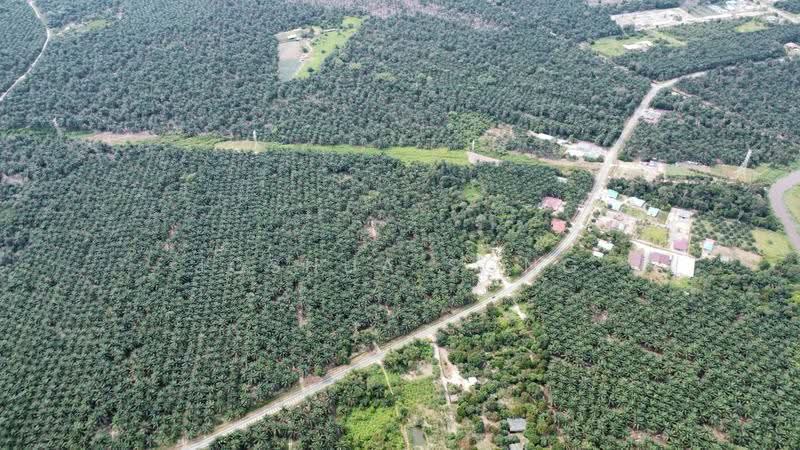 Tanah Perindustrian untuk Dijual di Taman Impian Emas (Skudai) - Joshua Song - PropertyGuru.com.my