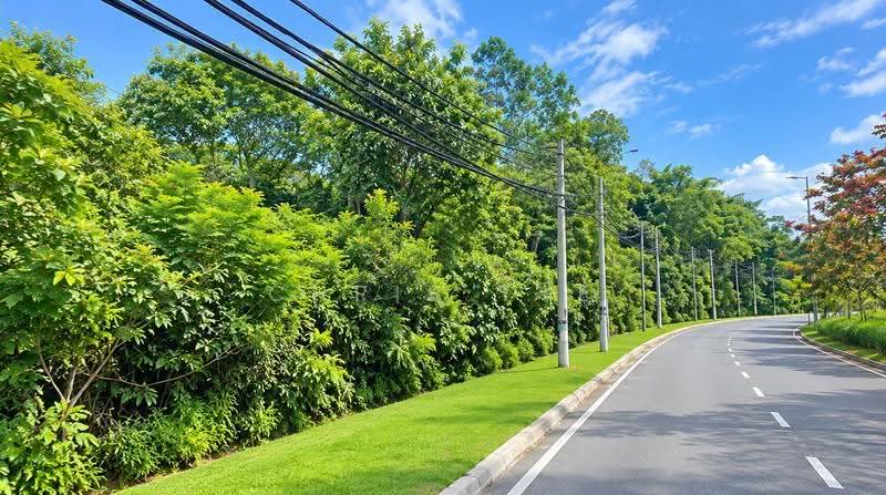 Tanah Kediaman untuk Dijual di Templer Park (Rawang) - Chris Tye - Exterior - PropertyGuru.com.my