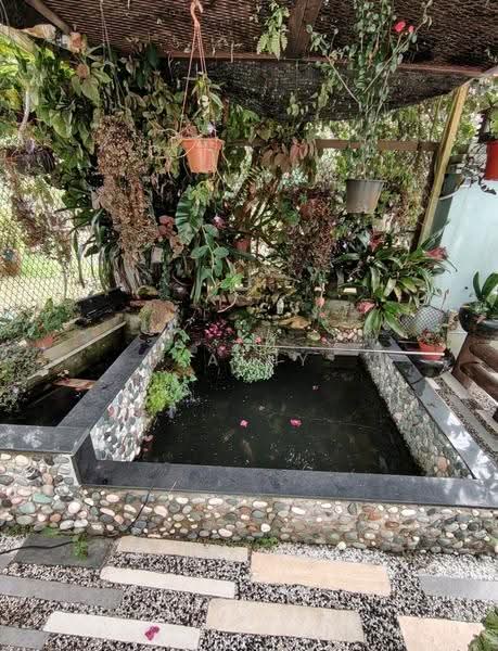 Bungalow House untuk Disewa di Taman Genting Permai (Batang Kali) - Kathy Yap - PropertyGuru.com.my
