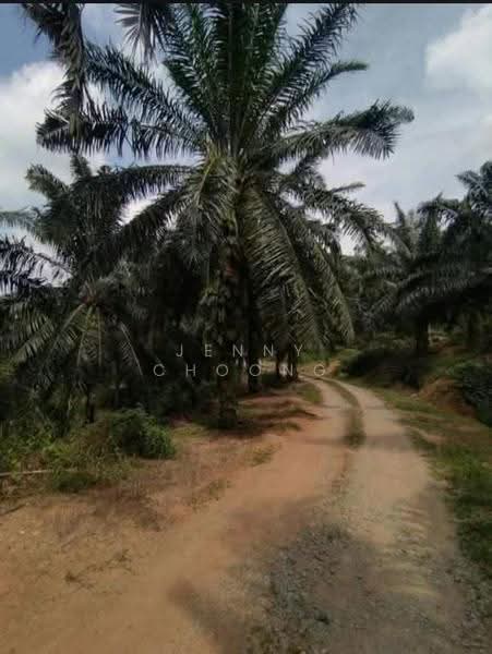 Agricultural Land for Sale in Kuala Kangsar (Perak) - Jenny Choong - Exterior - PropertyGuru.com.my