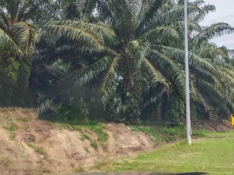 Others for Sale in Kota Tinggi (Johor) - Peggy Lim - Exterior - PropertyGuru.com.my