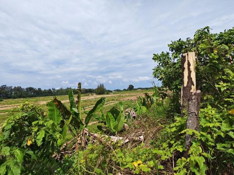 Others for Sale in Kota Tinggi (Johor) - Peggy Lim - Exterior - PropertyGuru.com.my