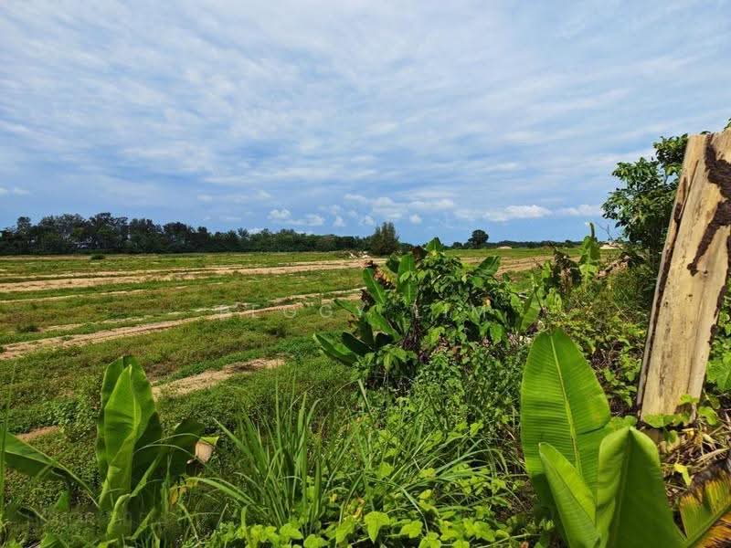 Others for Sale in Kota Tinggi (Johor) - Peggy Lim - PropertyGuru.com.my