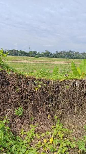 Others for Sale in Kota Tinggi (Johor) - KC Ng - PropertyGuru.com.my