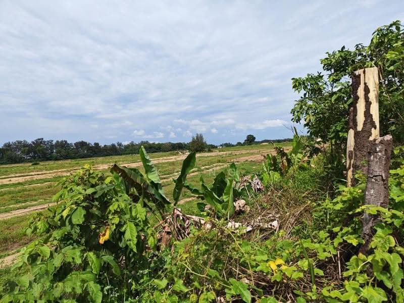 Others for Sale in Kota Tinggi (Johor) - KC Ng - PropertyGuru.com.my