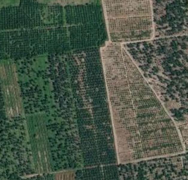 Agricultural Land for Sale in Banting (Selangor) - Janie Wai - PropertyGuru.com.my