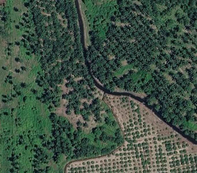 Agricultural Land for Sale in Banting (Selangor) - Janie Wai - PropertyGuru.com.my