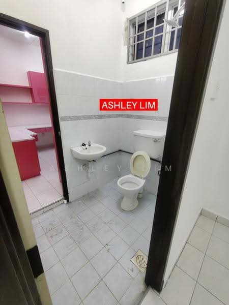 Semi-Detached House for Rent in Bandar Tasek Mutiara (Simpang Ampat) - Ashley Lim - Bathroom - PropertyGuru.com.my