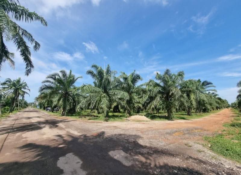 Agricultural Land for Sale in Jeram (Selangor) - Jason Yeong - Exterior - PropertyGuru.com.my