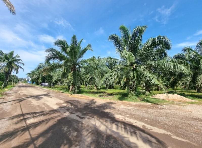 Agricultural Land for Sale in Jeram (Selangor) - Jason Yeong - Exterior - PropertyGuru.com.my