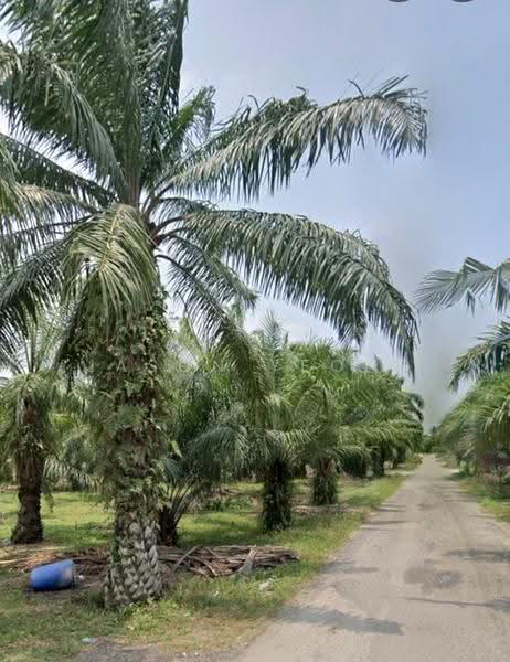 Agricultural Land for Sale in Jeram (Selangor) - Jason Yeong - Exterior - PropertyGuru.com.my